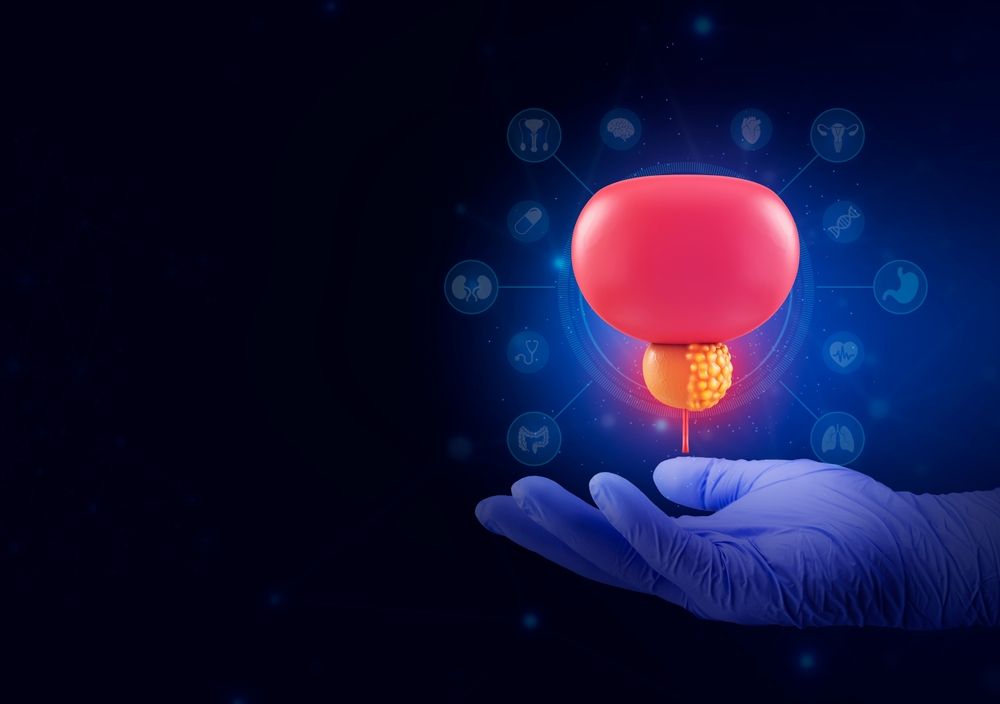 Cancer de la prostate : Symptômes, traitements et nouveautés